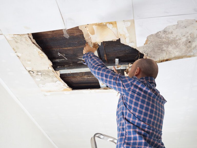 Does Homeowners Insurance Cover Mold?